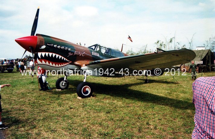 Wings Of Freedom P-40